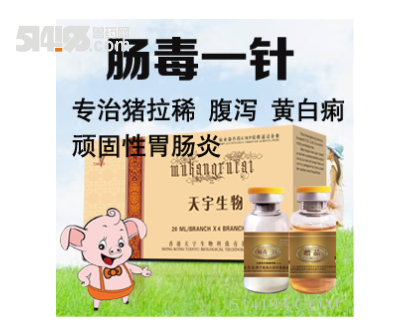 腸毒一針（豬腹瀉 拉稀 胃腸炎的克星）