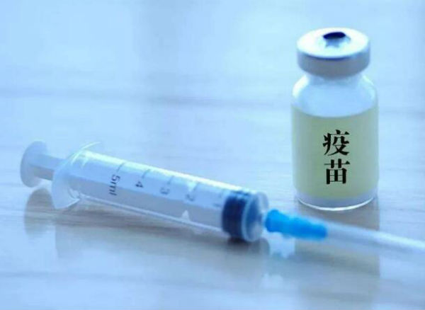 哈獸研非洲豬瘟疫苗專利申請公開！保護率100%？何時面世？售價幾何？