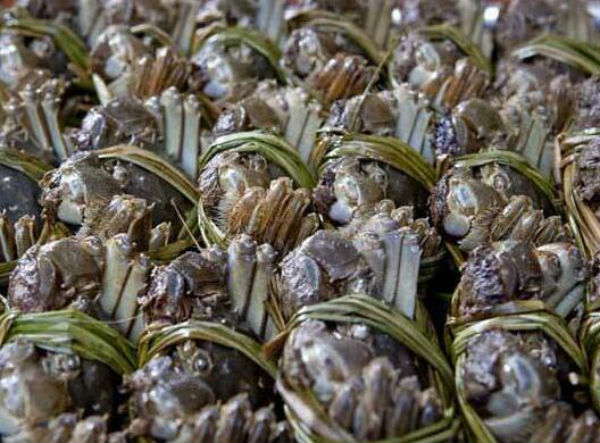 螃蟹價格多少錢一斤？野生河蟹多少錢一斤？一般螃蟹一斤有幾個？