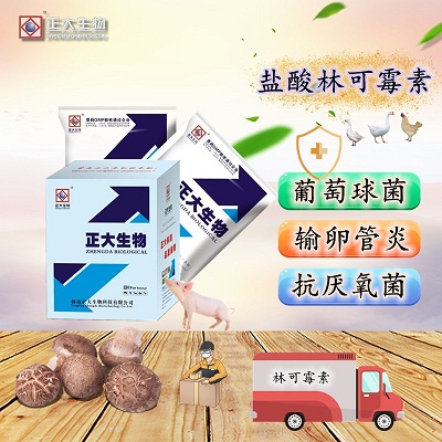 鹽酸林可霉素可溶性粉