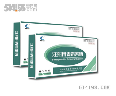 注射用青霉素鈉