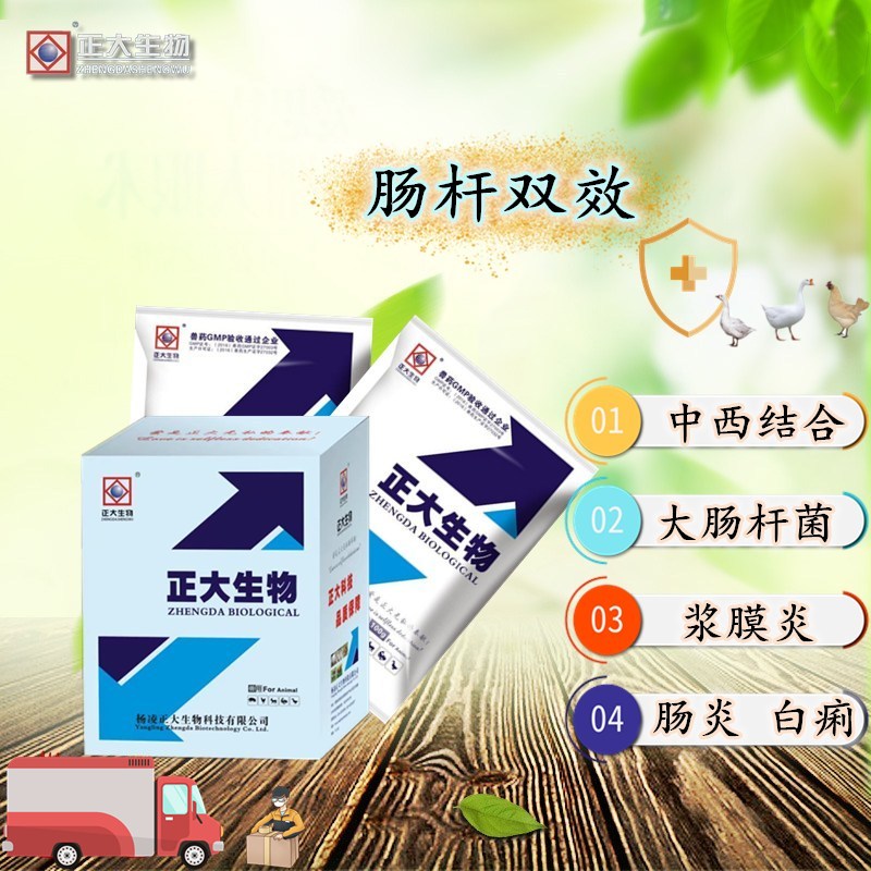 腸桿雙效│“大腸桿菌、漿膜炎、腹膜炎”