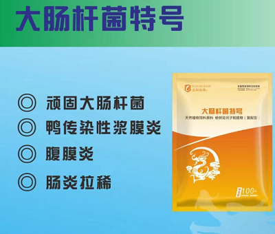 大腸桿菌特號：大腸桿菌、漿膜炎腹膜炎、混感、瘸腿坡腳