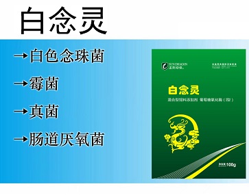白念靈:白色念珠菌、霉菌、腸道厭氧菌、消化道真菌