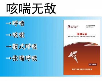 咳喘無敵：呼嚕，咳嗽，腹式呼吸，張嘴呼吸